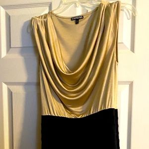 Express size Large Dress